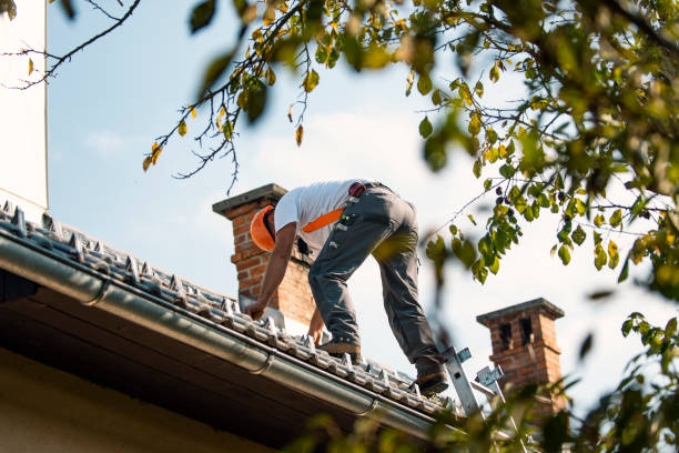 Best Gutter Installation and Roofing  in Burlington, WA