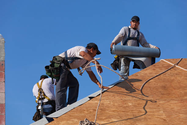 Best Local Roofing Companies  in Burlington, WA