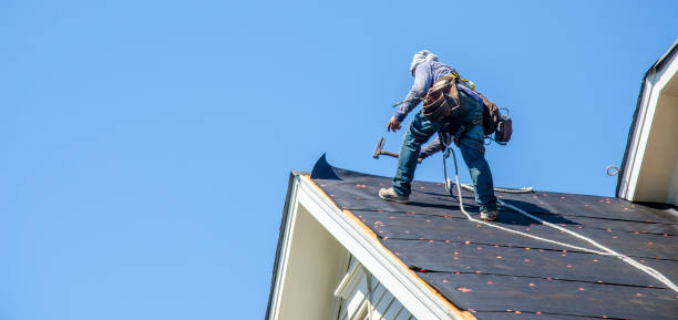 Best Roof Maintenance Services  in Burlington, WA
